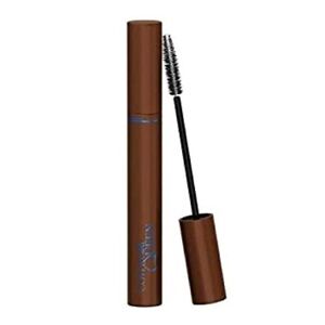 Covergirl Queen Q105 Black Lash Fanatic Mascara